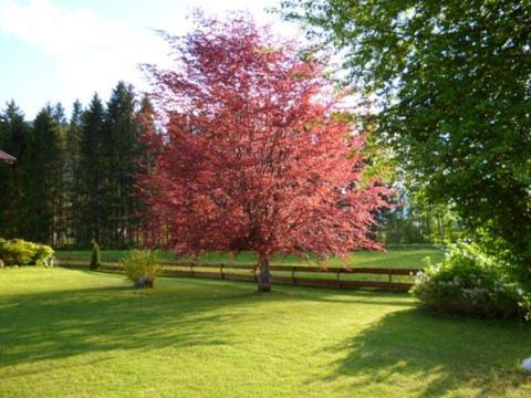 Villa Am Bach Unterwössen Buitenkant foto